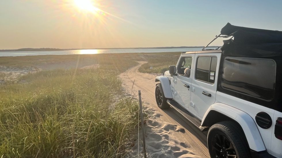 imgi_21_image04-e1765980528487-980×551