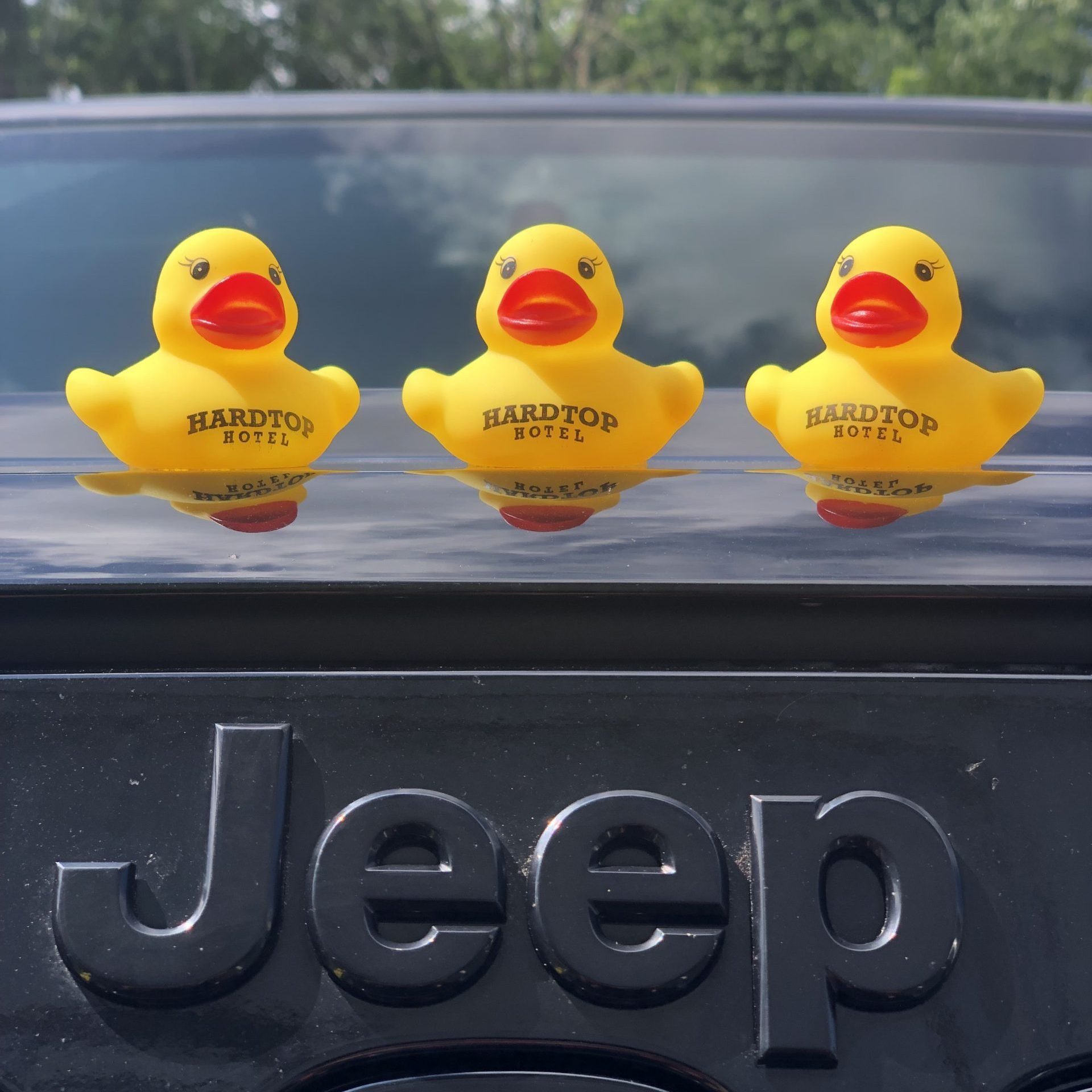 imgi_5_IMG_8291-scaled-e1740017612844