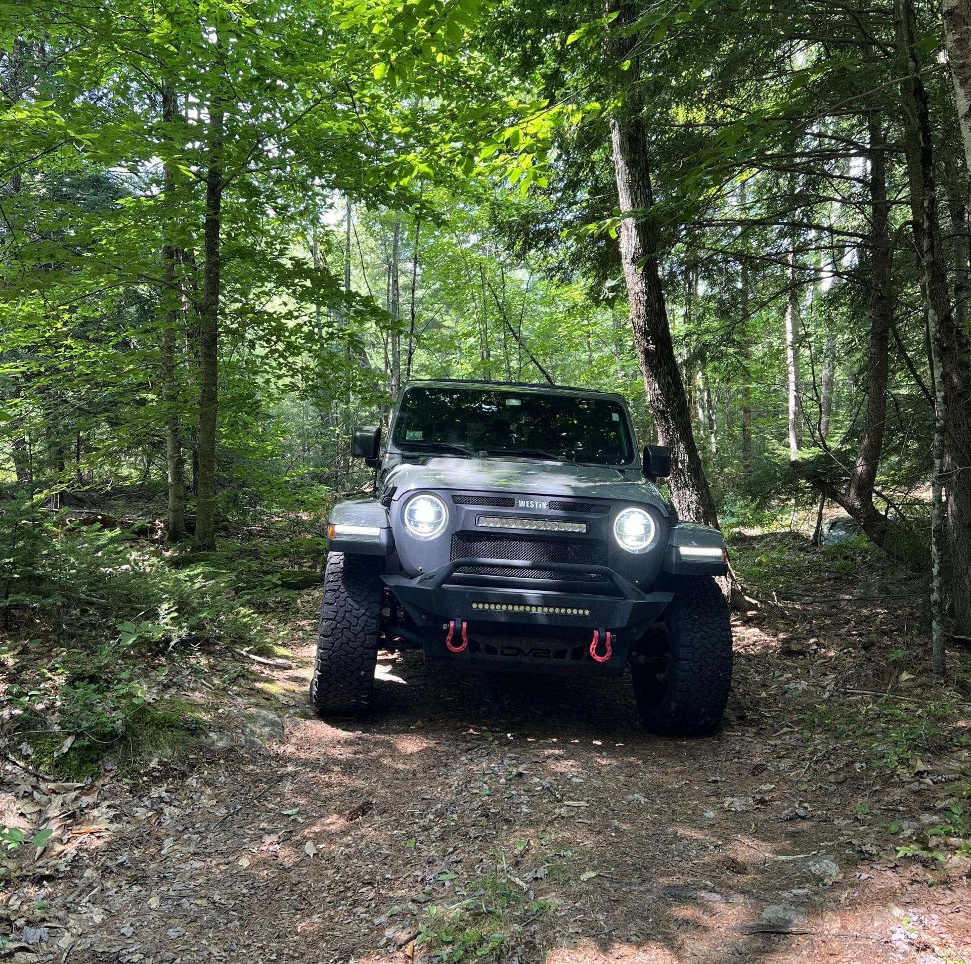 imgi_7_NH-scaled-e1740019737717 (1) (1)